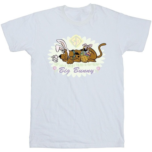 Abbigliamento Uomo T-shirts a maniche lunghe Scooby Doo Big Bunny Bianco