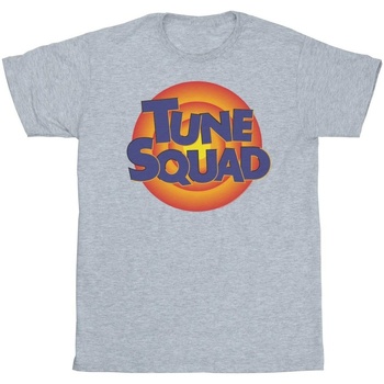 Abbigliamento Uomo T-shirts a maniche lunghe Space Jam: A New Legacy Tune Squad Logo Grigio