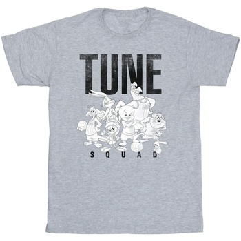 Abbigliamento Uomo T-shirts a maniche lunghe Space Jam: A New Legacy Tune Squad Group Grigio