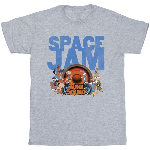 Abbigliamento Uomo T-shirts a maniche lunghe Space Jam: A New Legacy Tune Squad Grigio