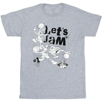 Abbigliamento Uomo T-shirts a maniche lunghe Space Jam: A New Legacy Let's Jam Grigio