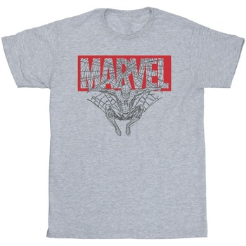 Abbigliamento Uomo T-shirts a maniche lunghe Marvel Spider Man Logo Red Grigio