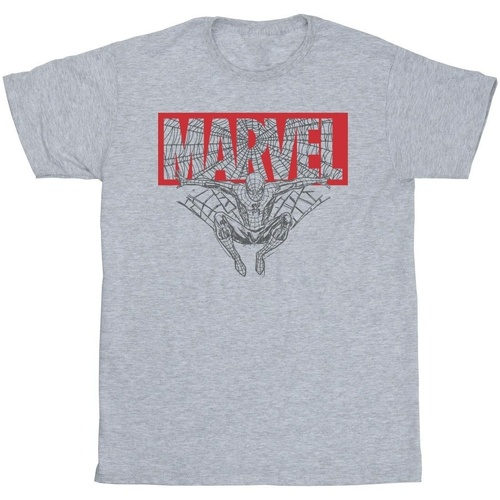 Abbigliamento Uomo T-shirts a maniche lunghe Marvel Spider Man Logo Red Grigio