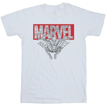 Abbigliamento Uomo T-shirts a maniche lunghe Marvel BI51901 Bianco