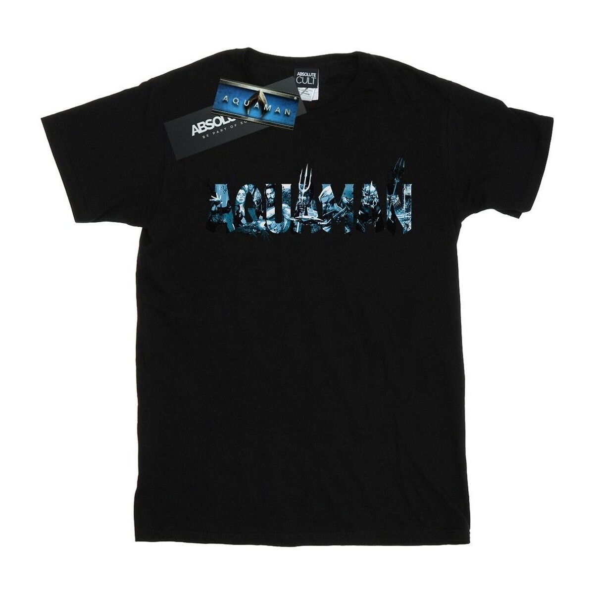 Abbigliamento Donna T-shirts a maniche lunghe Dc Comics Aquaman Text Logo Nero