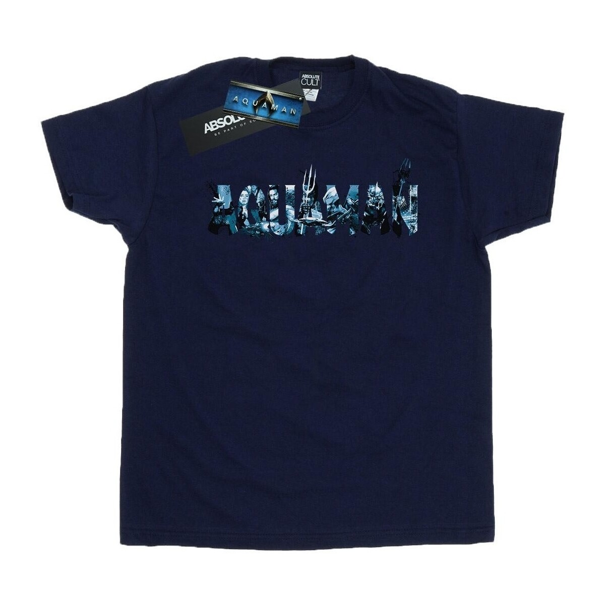 Abbigliamento Donna T-shirts a maniche lunghe Dc Comics Aquaman Text Logo Blu