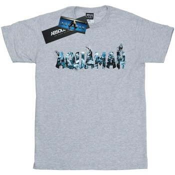 Abbigliamento Donna T-shirts a maniche lunghe Dc Comics Aquaman Text Logo Grigio