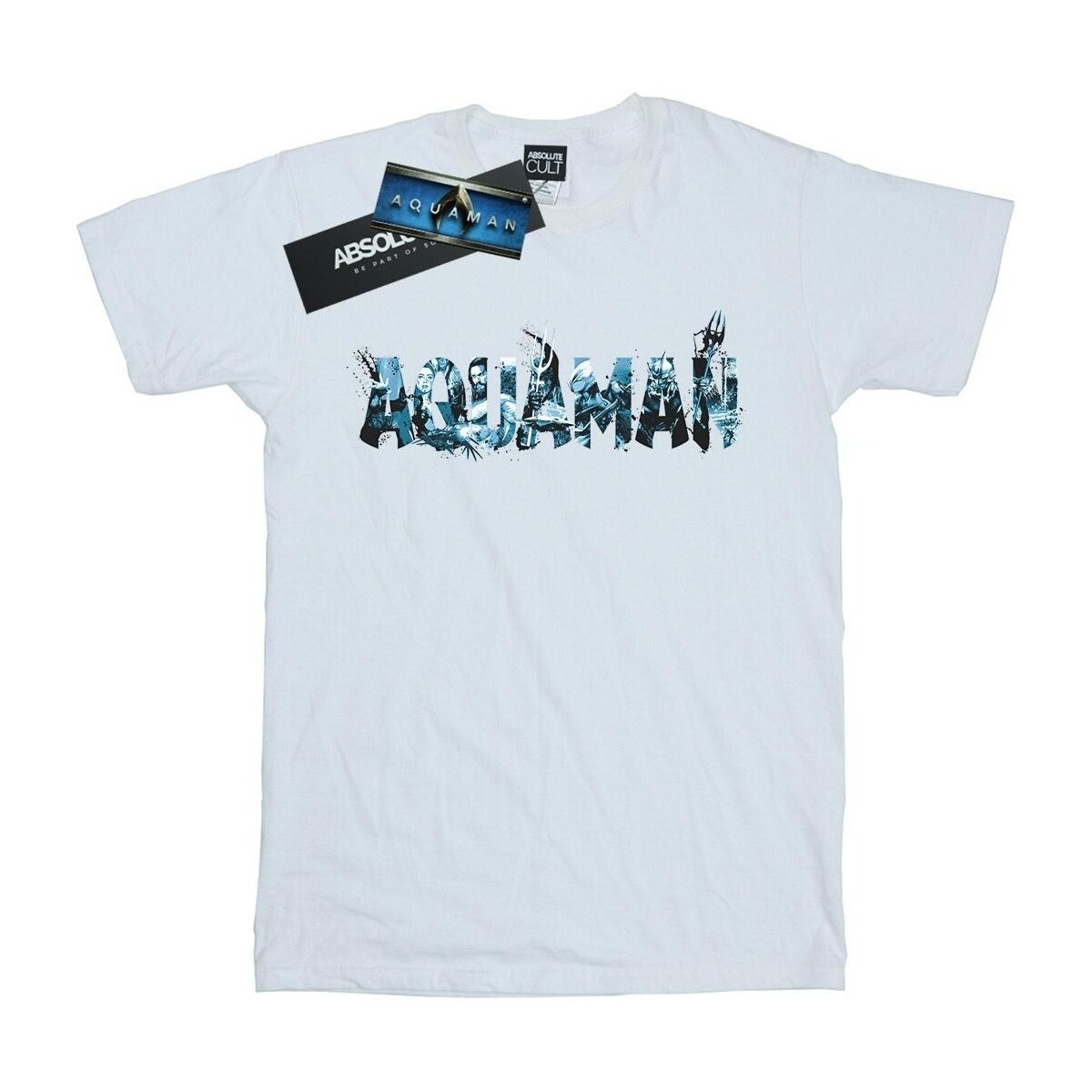 Abbigliamento Donna T-shirts a maniche lunghe Dc Comics Aquaman Text Logo Bianco