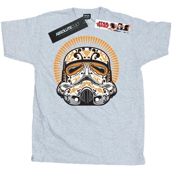 Abbigliamento Uomo T-shirts a maniche lunghe Disney Stormtrooper Dia De Los Muertos Grigio