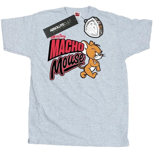 Abbigliamento Uomo T-shirts a maniche lunghe Dessins Animés Macho Mouse Grigio
