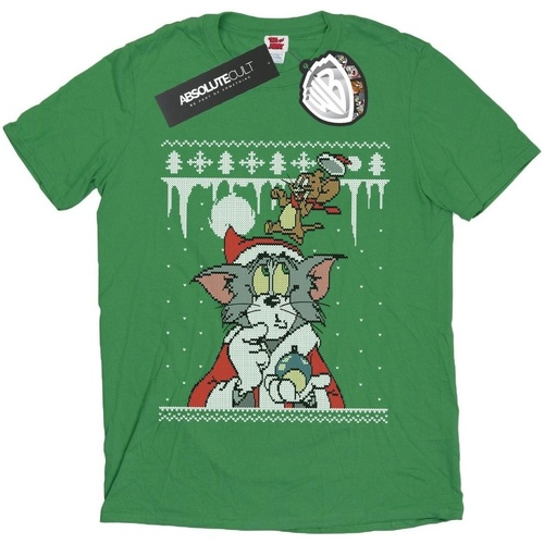 Abbigliamento Uomo T-shirts a maniche lunghe Dessins Animés Christmas Fair Isle Verde