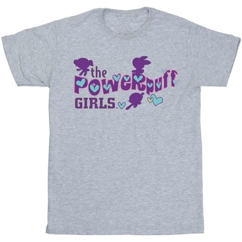 Abbigliamento Donna T-shirts a maniche lunghe The Powerpuff Girls BI52121 Grigio