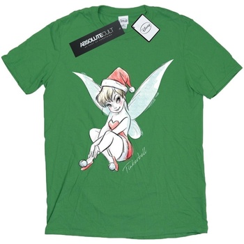 Abbigliamento Uomo T-shirts a maniche lunghe Disney Tinkerbell Christmas Fairy Verde