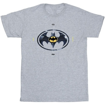 Abbigliamento Uomo T-shirts a maniche lunghe Dc Comics The Flash Batman Metal Logo Grigio