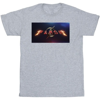 Abbigliamento Uomo T-shirts a maniche lunghe Dc Comics The Flash Movie Logo Grigio
