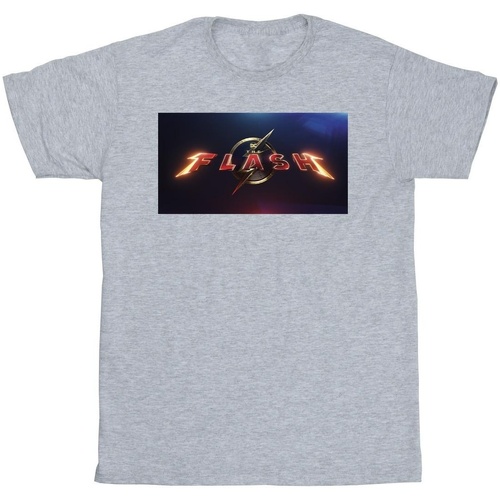 Abbigliamento Uomo T-shirts a maniche lunghe Dc Comics The Flash Movie Logo Grigio