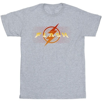 Abbigliamento Uomo T-shirts a maniche lunghe Dc Comics The Flash Red Lightning Grigio