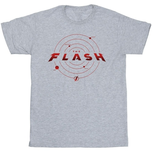 Abbigliamento Uomo T-shirts a maniche lunghe Dc Comics The Flash Multiverse Rings Grigio