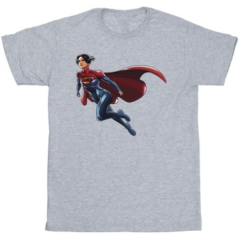 Abbigliamento Uomo T-shirts a maniche lunghe Dc Comics The Flash Supergirl Grigio