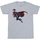 Abbigliamento Uomo T-shirts a maniche lunghe Dc Comics The Flash Supergirl Grigio