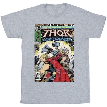 Abbigliamento Uomo T-shirts a maniche lunghe Marvel Thor Love And Thunder Vintage Poster Grigio