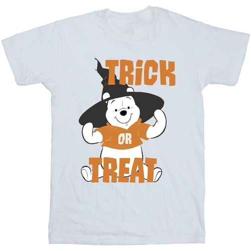 Abbigliamento Uomo T-shirts a maniche lunghe Disney Winnie The Pooh Trick Or Treat Bianco