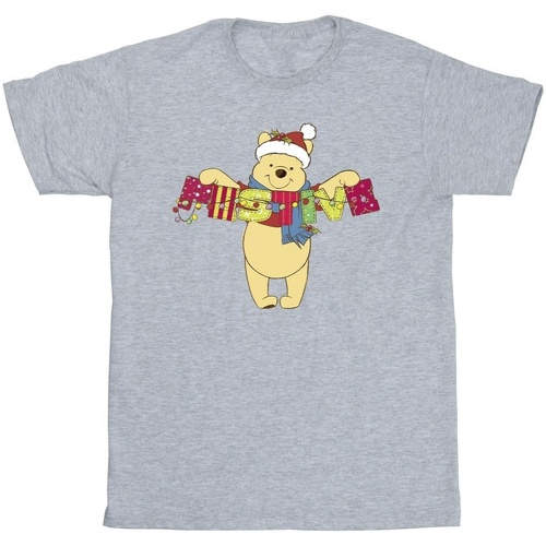 Abbigliamento Uomo T-shirts a maniche lunghe Disney Winnie The Pooh Festive Grigio