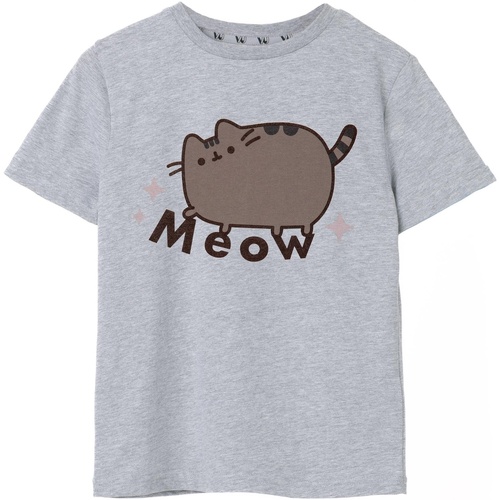Abbigliamento Bambina T-shirts a maniche lunghe Pusheen Meow Grigio