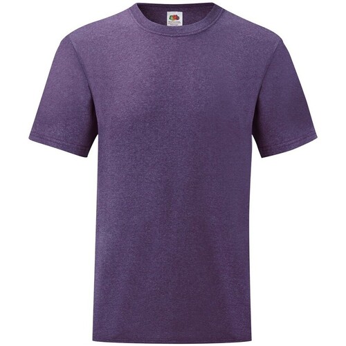 Abbigliamento Uomo T-shirts a maniche lunghe Fruit Of The Loom Valueweight Viola