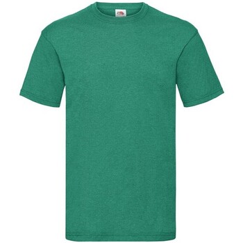 Abbigliamento Uomo T-shirts a maniche lunghe Fruit Of The Loom SS030 Verde