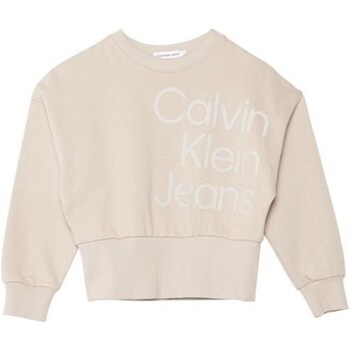 Abbigliamento Bambina Felpe Calvin Klein Jeans IG0IG02300 Beige