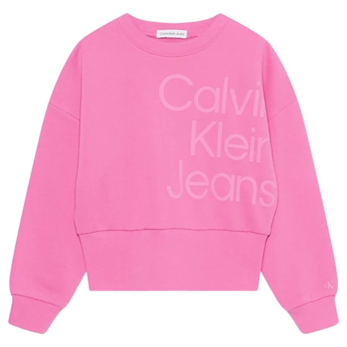 Abbigliamento Bambina Felpe Calvin Klein Jeans IG0IG02300 Rosa