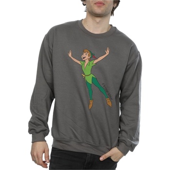 Abbigliamento Uomo Felpe Disney Classic Flying Peter Pan Multicolore