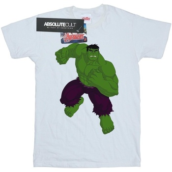 Abbigliamento Bambina T-shirts a maniche lunghe Marvel Hulk Simple Bianco