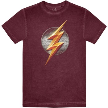 Abbigliamento Uomo T-shirts a maniche lunghe The Flash TV2639 Multicolore