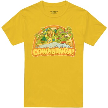Abbigliamento Uomo T-shirts a maniche lunghe Teenage Mutant Ninja Turtles Cowabunga Multicolore