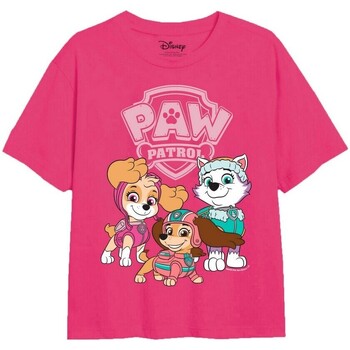 Abbigliamento Bambina T-shirts a maniche lunghe Paw Patrol TV2718 Multicolore