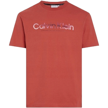 Abbigliamento Uomo T-shirt maniche corte Calvin Klein Jeans K10K112497 Rosso