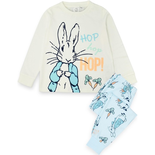 Abbigliamento Bambino Pigiami / camicie da notte Peter Rabbit Hop Blu