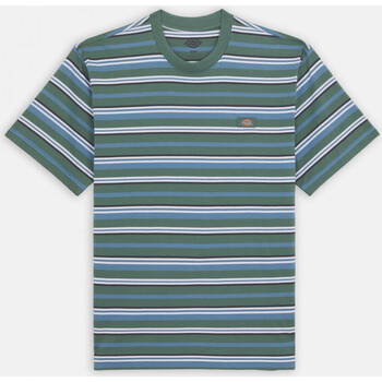 Abbigliamento Uomo T-shirt & Polo Dickies Glade spring tee ss Multicolore