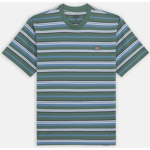 Abbigliamento Uomo T-shirt & Polo Dickies Glade spring tee ss Multicolore