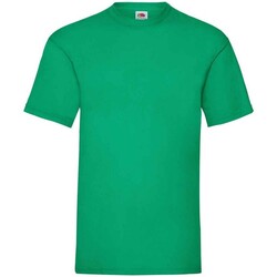 Abbigliamento Uomo T-shirts a maniche lunghe Fruit Of The Loom Valueweight Verde