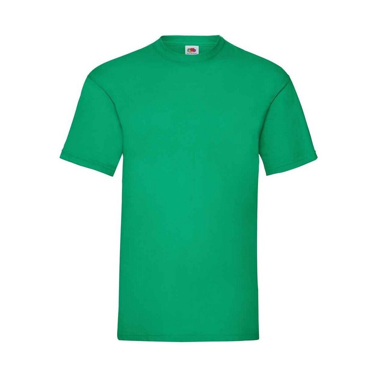 Abbigliamento Uomo T-shirts a maniche lunghe Fruit Of The Loom Valueweight Verde
