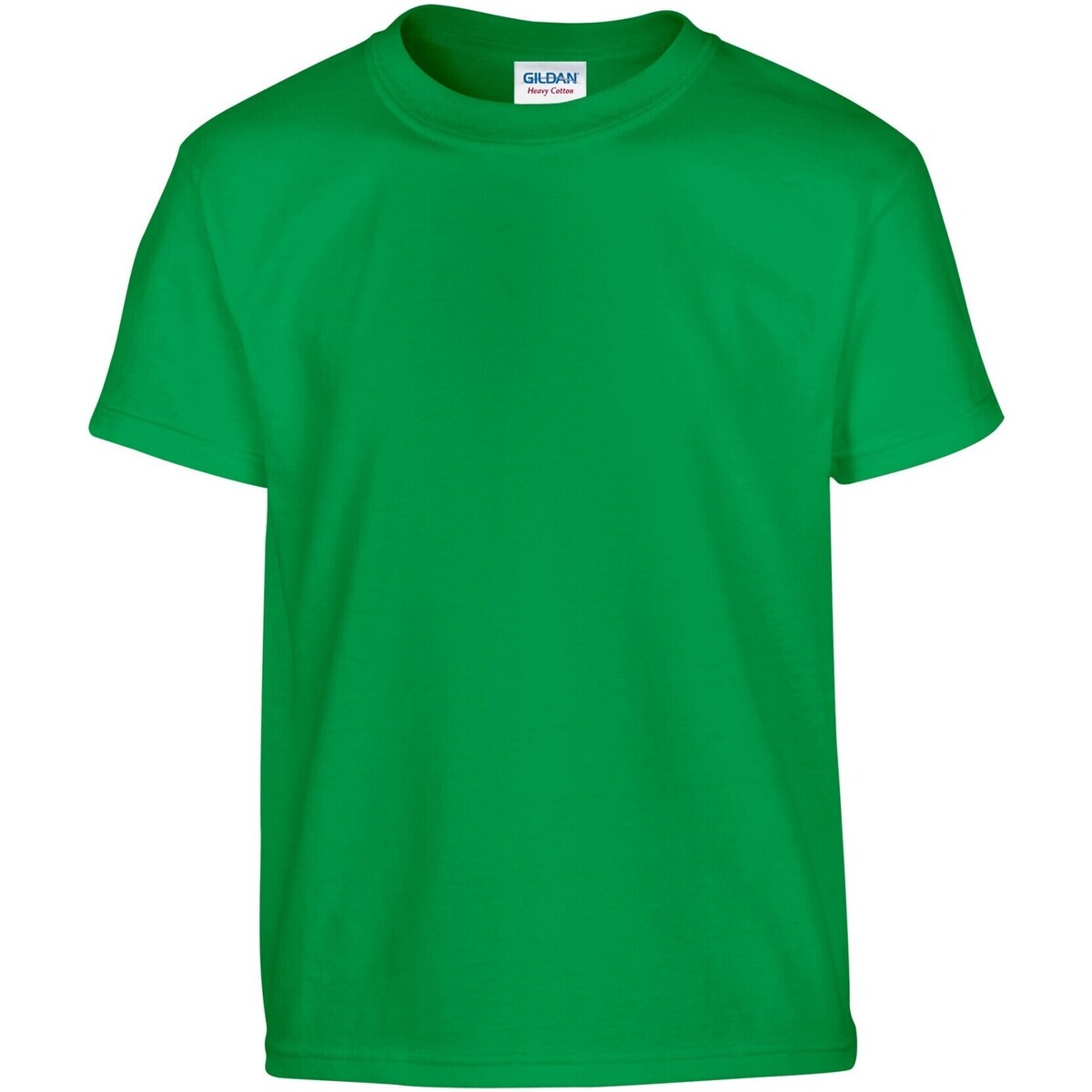 Abbigliamento Unisex bambino T-shirt maniche corte Gildan GD05B Verde
