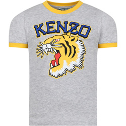 Abbigliamento Bambino T-shirt maniche corte Kenzo K60307 A47 Grigio