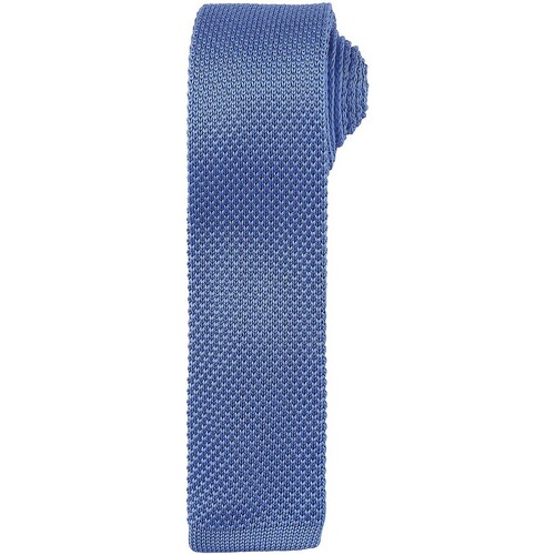 Abbigliamento Cravatte e accessori Premier PR789 Blu