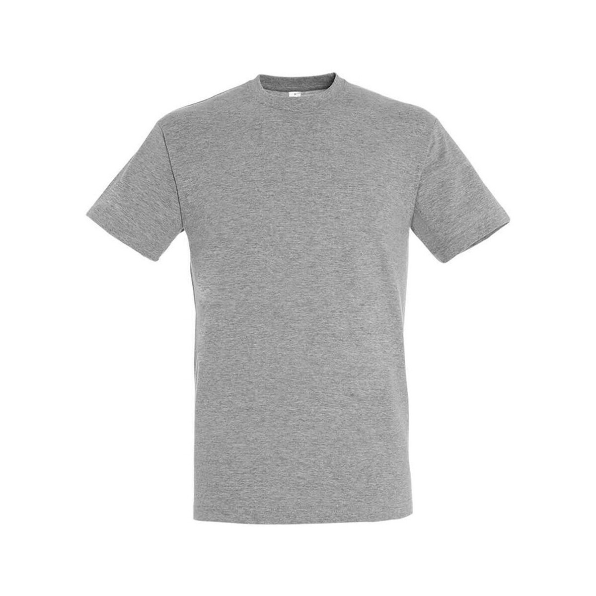 Abbigliamento Uomo T-shirts a maniche lunghe Sols Regent Grigio