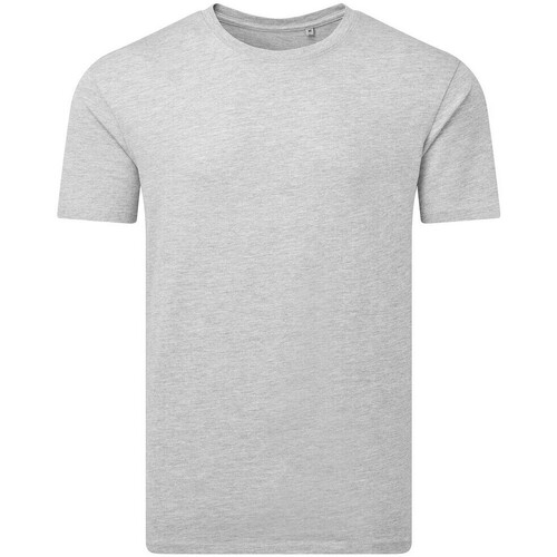 Abbigliamento Uomo T-shirts a maniche lunghe Anthem RW9346 Grigio