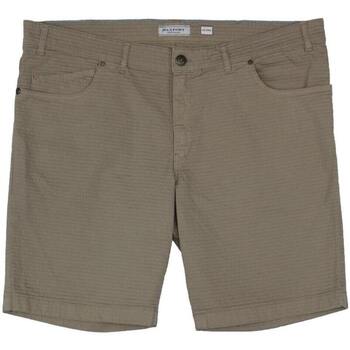 Abbigliamento Uomo Shorts / Bermuda Max Fort QUERCIA Grigio