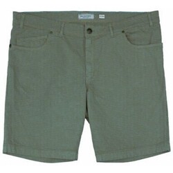 Abbigliamento Uomo Shorts / Bermuda Max Fort QUERCIA Verde